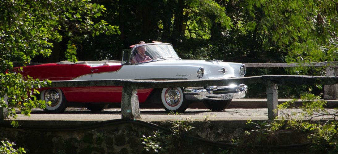 1955 olds in havana forest